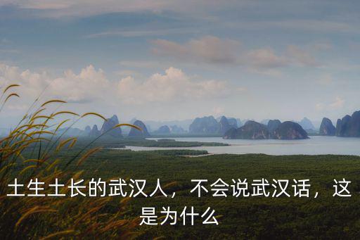 土生土長的武漢人，不會說武漢話，這是為什么