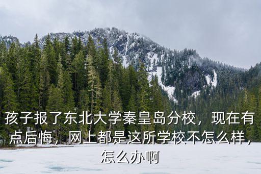 東北大學秦皇島分校共多少學生,孩子報了東北大學秦皇島分校