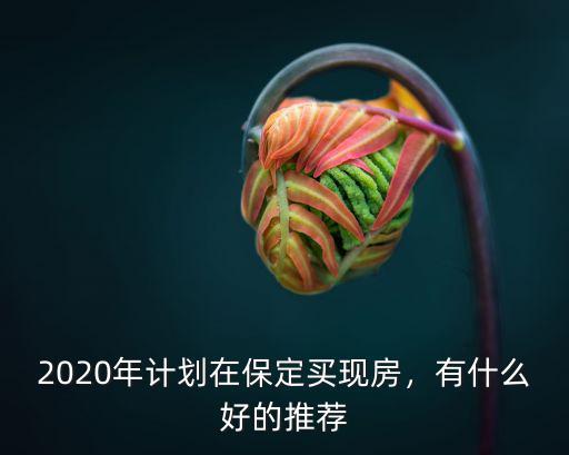 2020年計劃在保定買現房，有什么好的推薦