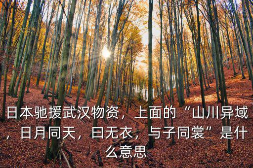 日本馳援武漢物資，上面的“山川異域，日月同天，曰無衣，與子同裳”是什么意思