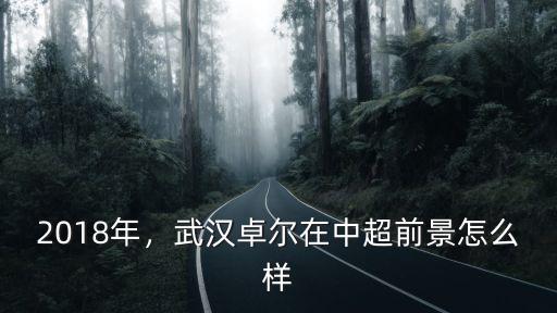 2018年，武漢卓爾在中超前景怎么樣