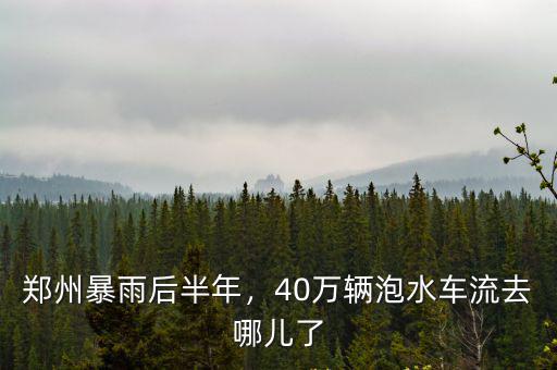 鄭州暴雨過后車怎么處置,鄭州暴雨過后