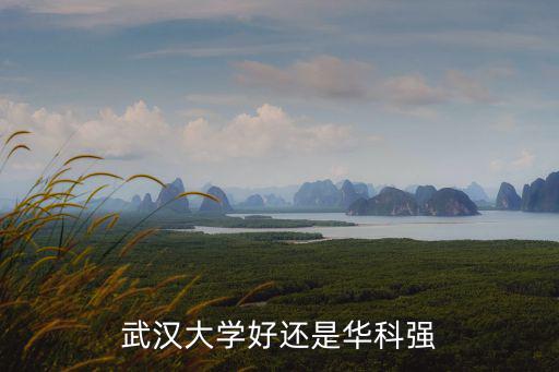 武漢大學的情報學怎么樣,武漢大學好還是華科強