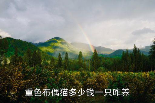 淮南布偶貓多少錢一只,重色布偶貓多少錢一只