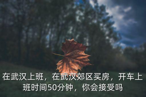 在武漢上班，在武漢郊區買房，開車上班時間50分鐘，你會接受嗎