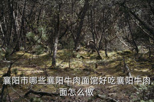 襄陽牛肉面的香料怎么寫,襄陽牛肉面怎么做