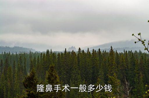 邢臺做隆鼻多少錢,隆鼻整形多少錢