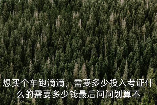 衡水多少錢的車能跑滴滴,考證什么的需要多少錢