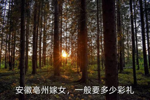 安徽桐城彩禮錢多少錢,安徽淮北市結(jié)婚彩禮錢是多少