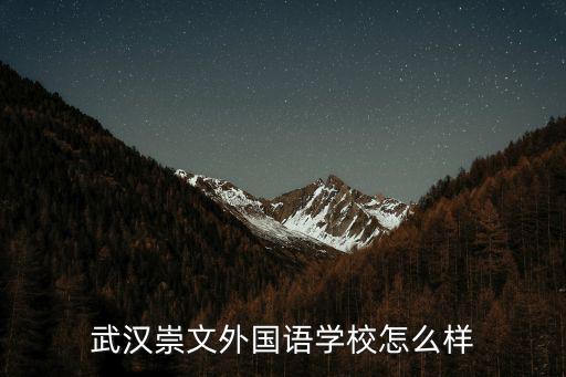 武漢崇文外國語學校怎么樣