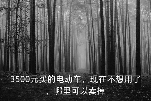 3500元買的電動車，現在不想用了，哪里可以賣掉