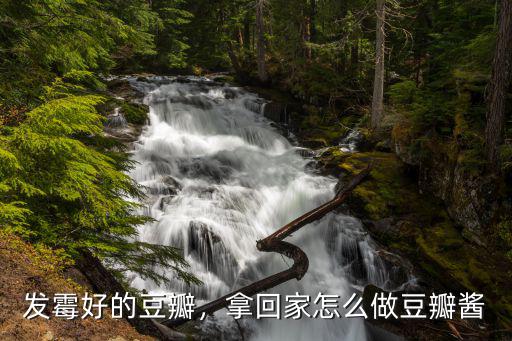 湖北的霉豆渣怎么做,霉黃豆怎么做