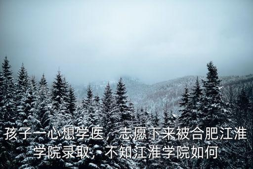 孩子一心想學醫，志愿下來被合肥江淮學院錄取，不知江淮學院如何