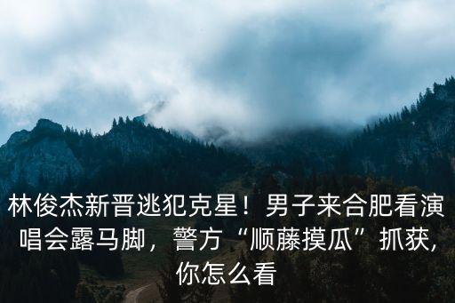 林俊杰新晉逃犯克星！男子來合肥看演唱會露馬腳，警方“順藤摸瓜”抓獲,你怎么看
