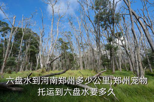 貴州六盤水到河南鄭州多少公里,鄭州寵物托運到六盤水要多久