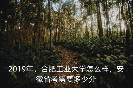 合肥工業大學國際班要多少分錄取,合肥工業大學怎么樣