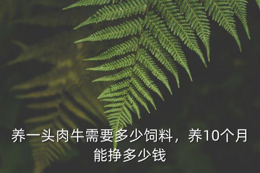 河北一頭牛多少錢,九十年代一頭牛多少錢