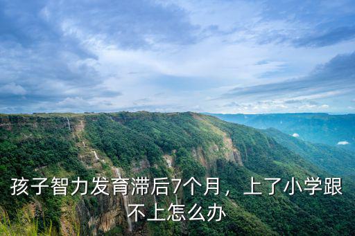 武漢發(fā)育遲緩孩子怎么上小學,上了小學跟不上怎么辦