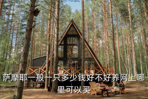 薩摩耶一般一只多少錢好不好養網上哪里可以買