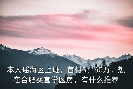 本人瑤海區上班，首付5、60萬，想在合肥買套學區房，有什么推薦