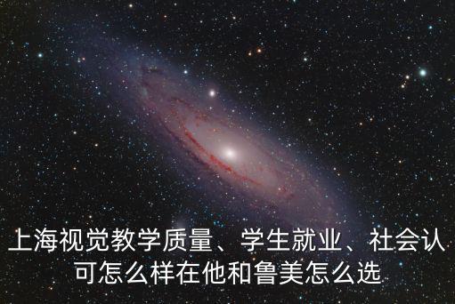 上海視覺教學(xué)質(zhì)量、學(xué)生就業(yè)、社會認(rèn)可怎么樣在他和魯美怎么選