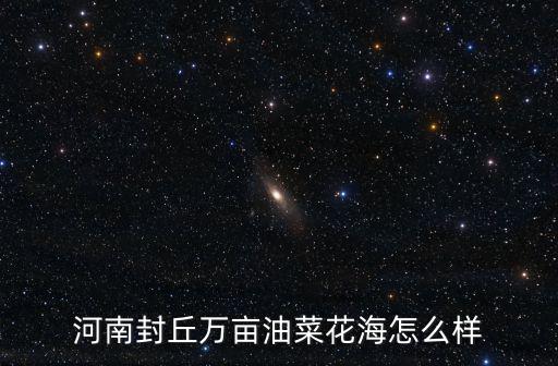 河南光山縣油菜花在哪里,最美的油菜花海在哪里
