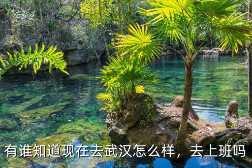 武漢特瑞升上班怎么樣,在武漢打工生活怎么樣