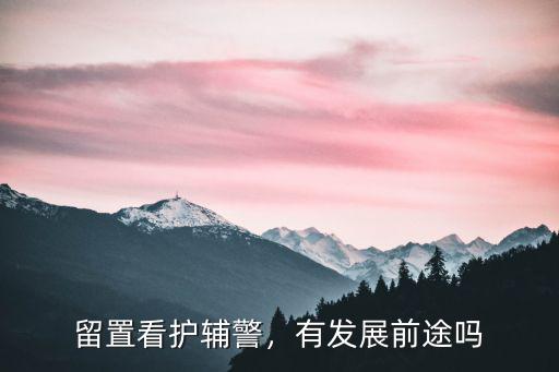 蕪湖留置看護輔警工資多少,留置看護輔警