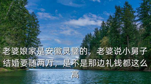 老婆娘家是安徽靈璧的，老婆說小舅子結婚要隨兩萬，是不是那邊禮錢都這么高