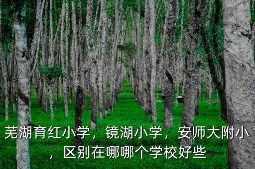 蕪湖育紅小學(xué)，鏡湖小學(xué)，安師大附小，區(qū)別在哪哪個學(xué)校好些