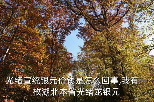 湖北光緒宣統(tǒng)銀元價(jià)錢是怎么回事,我有一枚湖北本省光緒龍銀元