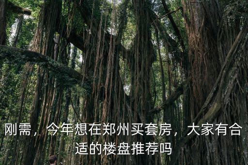 剛需，今年想在鄭州買套房，大家有合適的樓盤推薦嗎