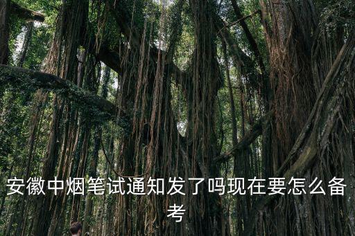 安徽中煙筆試通知發(fā)了嗎現(xiàn)在要怎么備考