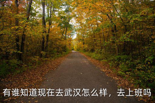 武漢百達旺升上班怎么樣,在武漢打工生活怎么樣