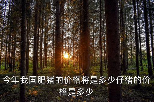 滄州活豬價格是多少錢一斤,仔豬的價格是多少