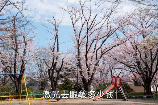 激光去眼袋多少錢