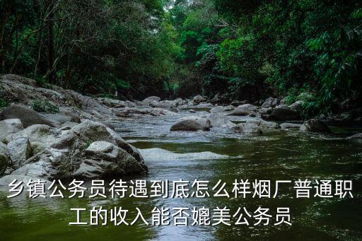 鄉鎮公務員待遇到底怎么樣煙廠普通職工的收入能否媲美公務員