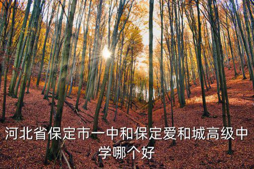 保定市一中高中多少個(gè)班,保定市除了一中三中以外