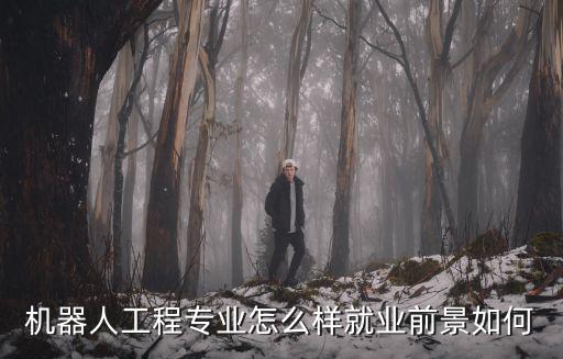 機器人工程專業怎么樣就業前景如何