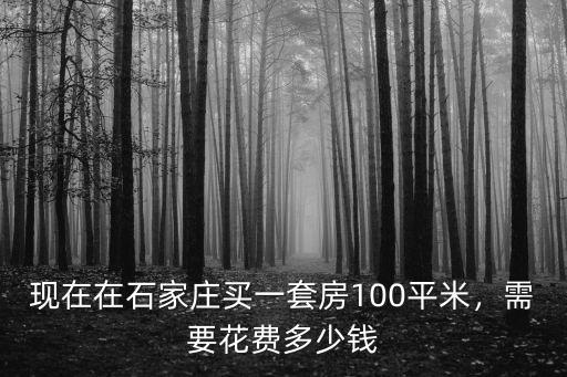石家莊現(xiàn)在的期房是多少錢(qián),現(xiàn)在買(mǎi)套房要多少錢(qián)
