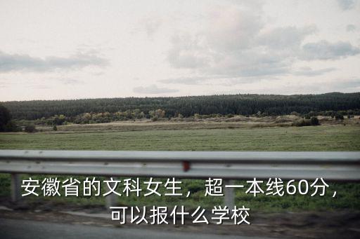 安徽省一本補錄多少分可以報,可以報什么學校