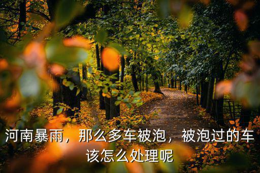 河南水災泡的車保險公司怎么理賠,保險公司怎么賠