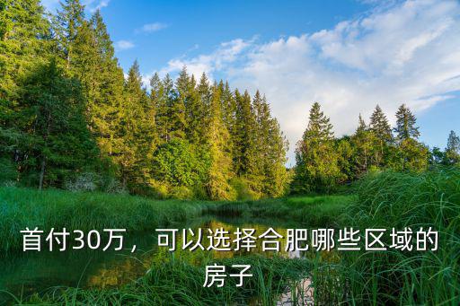合肥瑤海區房子首付多少,本人瑤海區上班