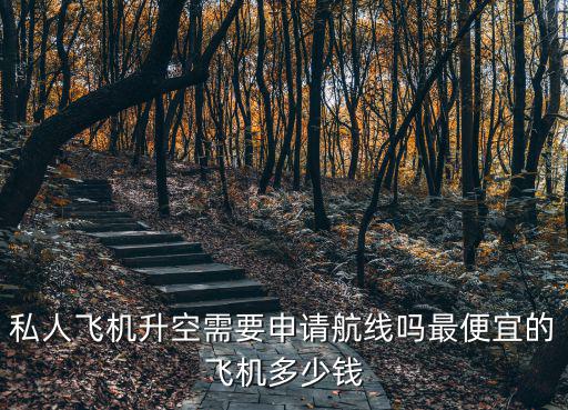 私人飛機升空需要申請航線嗎最便宜的飛機多少錢