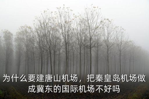唐山機場標高多少,唐山機場有多少國內(nèi)航線