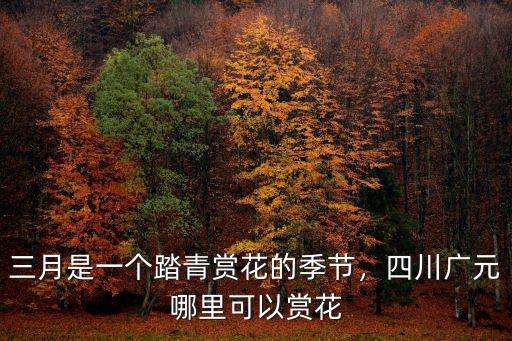遂寧哪里可以看梨花,四川廣元哪里可以賞花