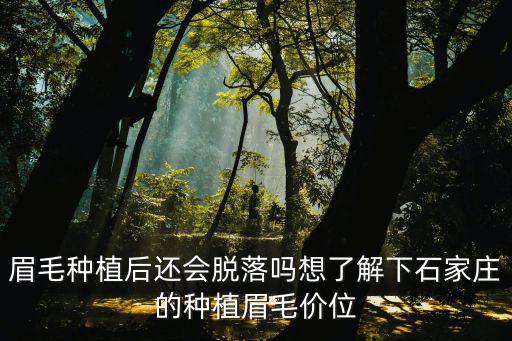 眉毛種植后還會脫落嗎想了解下石家莊的種植眉毛價位