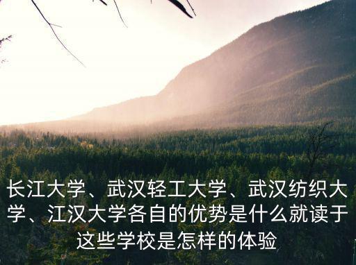 武漢紙坊大學外貿學院怎么樣,武漢輕工大學