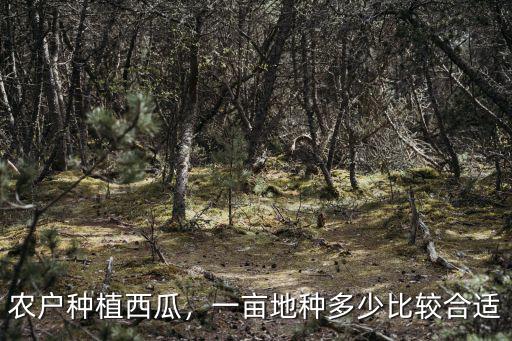 張家口萬(wàn)全縣種植多少畝西瓜,農(nóng)戶種植西瓜