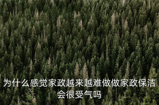 武漢做家政怎么樣,做家政做哪一塊比較好